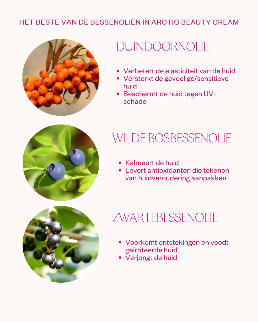 arctic beauty cream ingredients