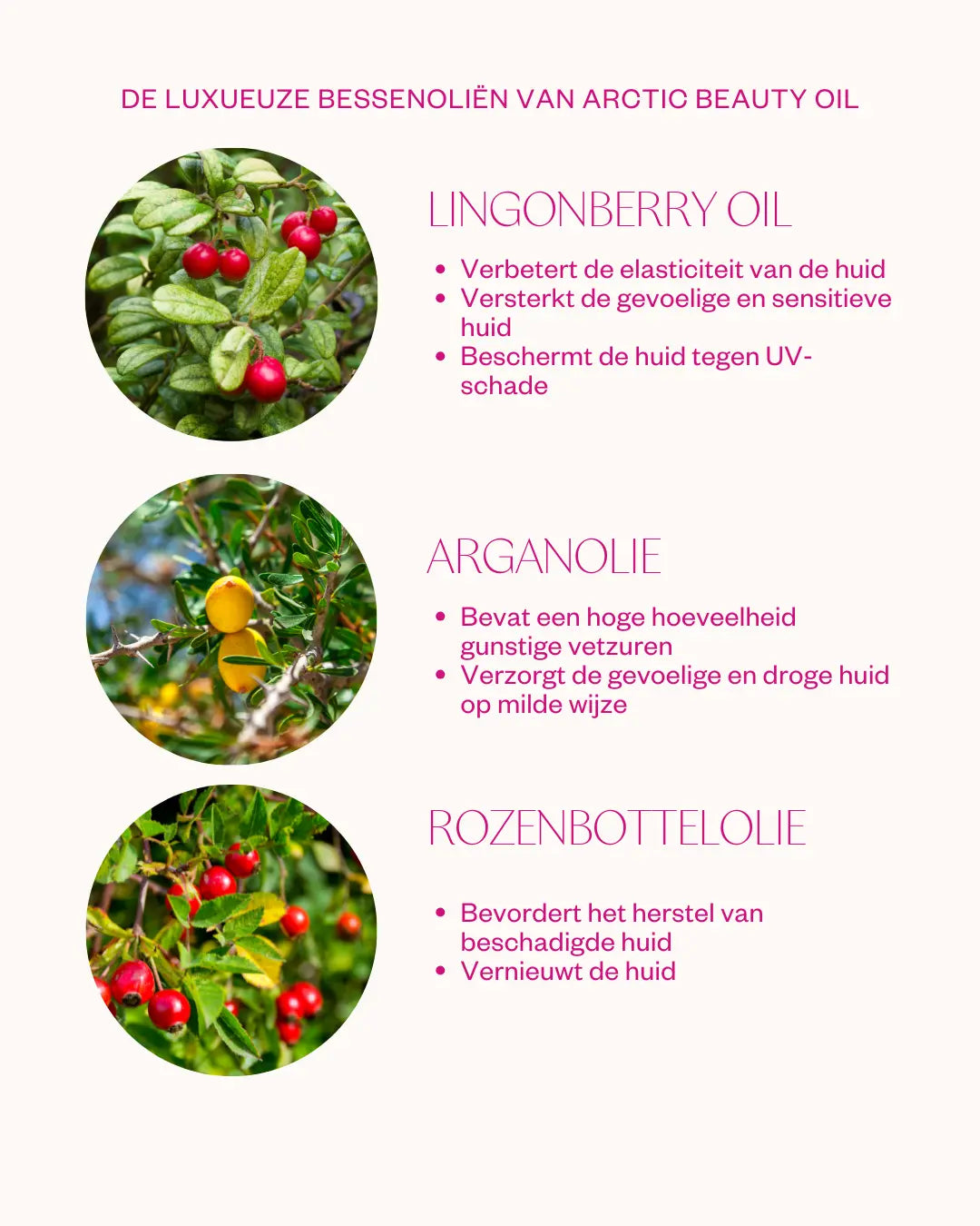 Arctic beauty oil ingredienten