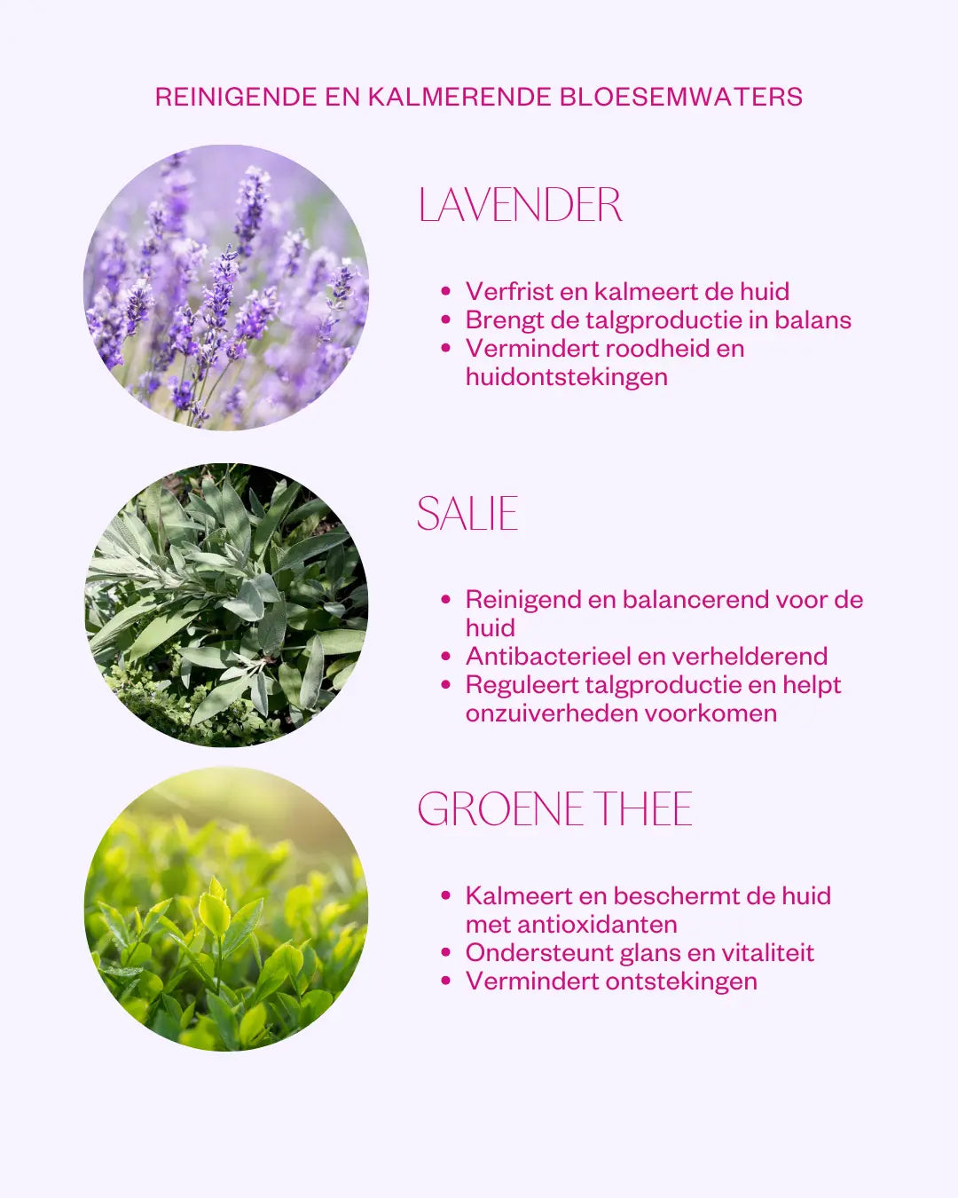 Lavendermist ingredienten