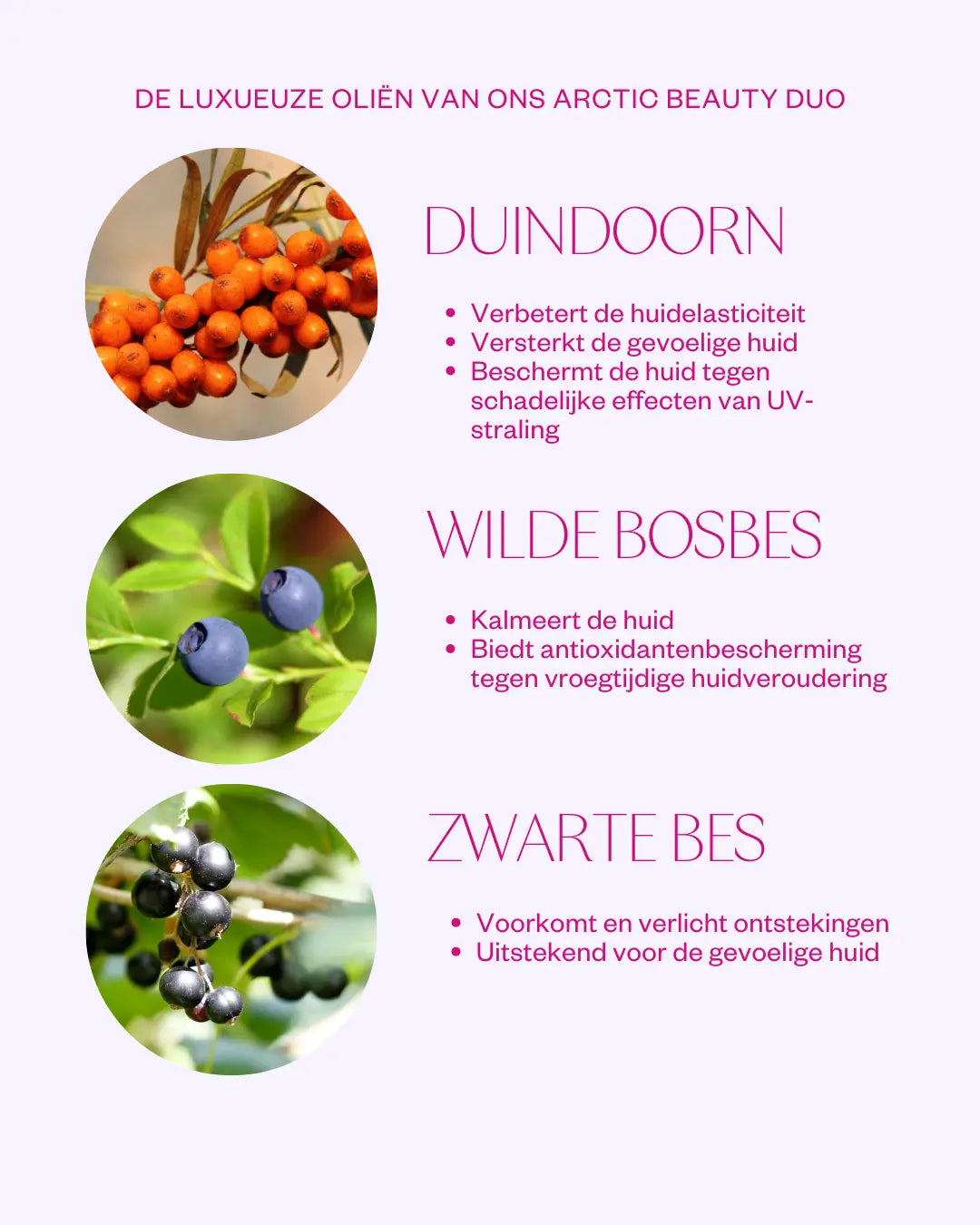 Moisture duo ingredienten