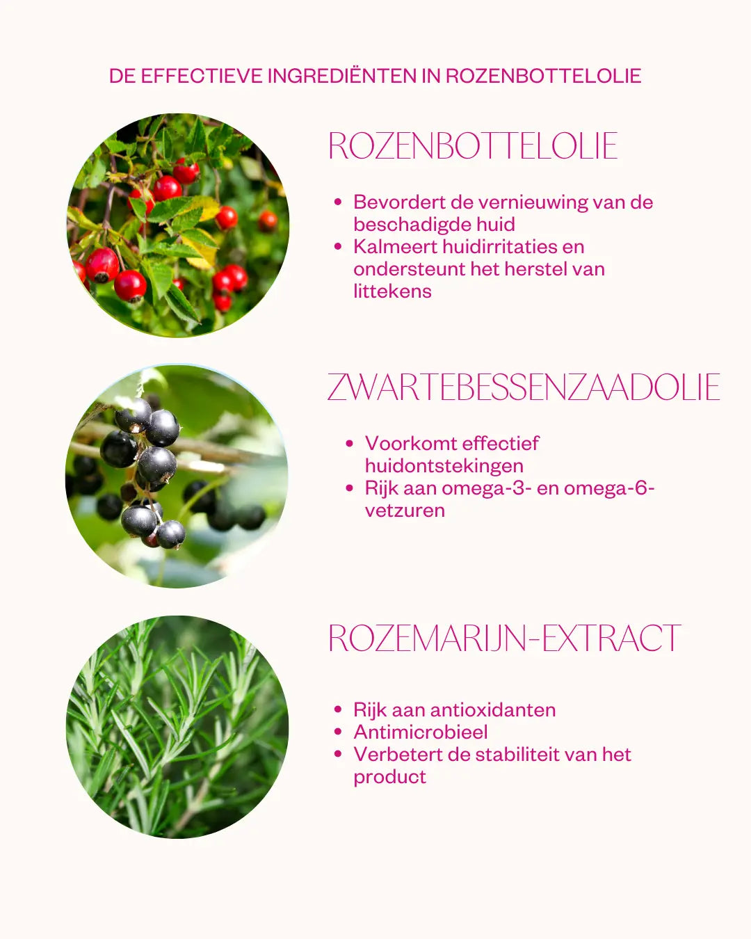 rozenbottelolie ingredienten
