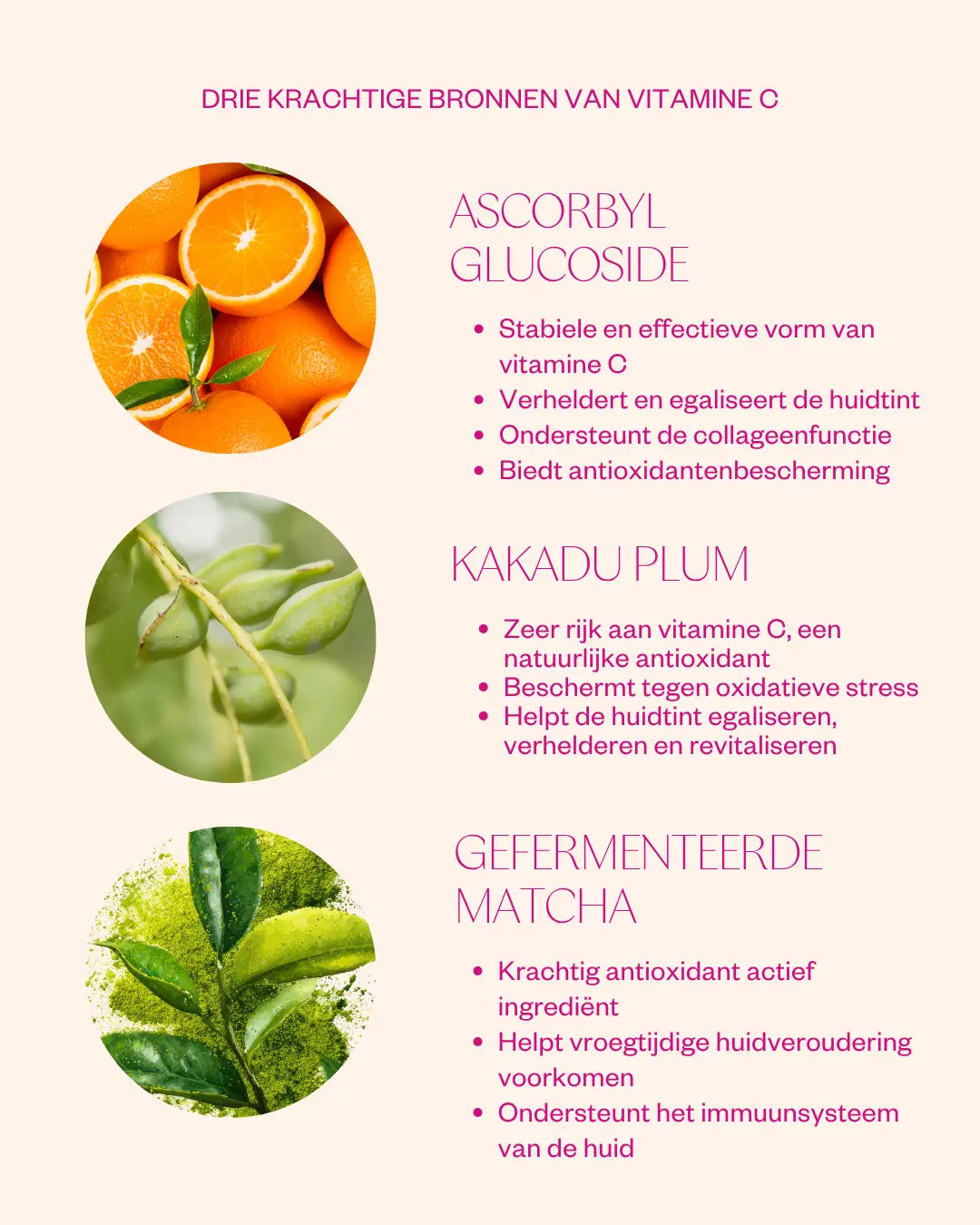 Vitamine C serum ingredients